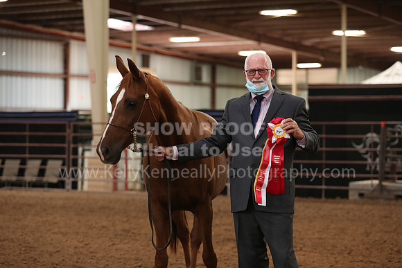SilverBuckle20_FriAM_1827