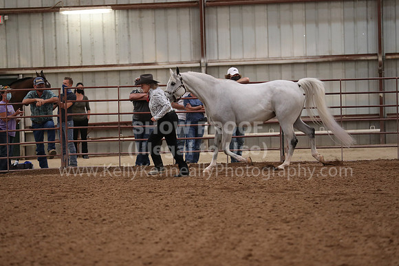 SilverBuckle20_FriAM_1913