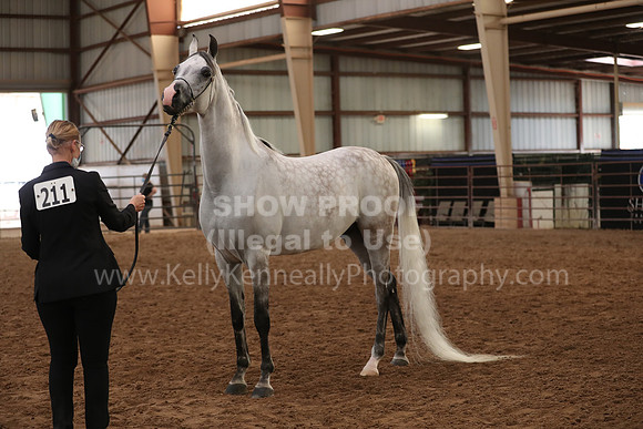 SilverBuckle20_FriAM_1914