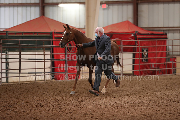 SilverBuckle20_FriAM_1828