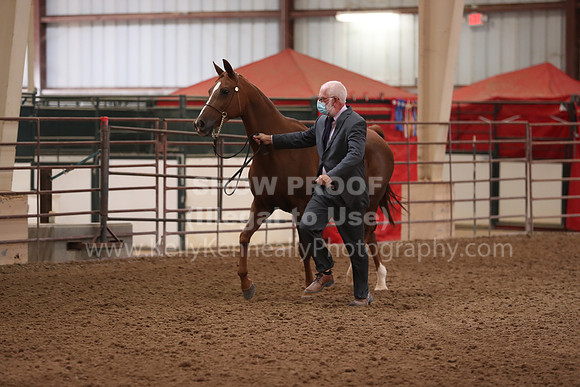 SilverBuckle20_FriAM_1830