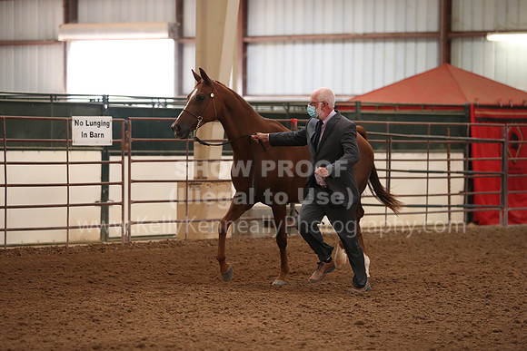 SilverBuckle20_FriAM_1832