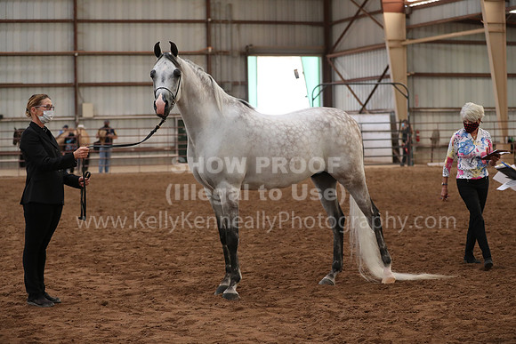 SilverBuckle20_FriAM_1919