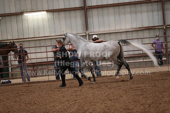 SilverBuckle20_FriAM_1920