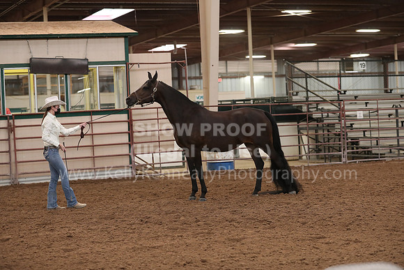 SilverBuckle20_FriAM_1838