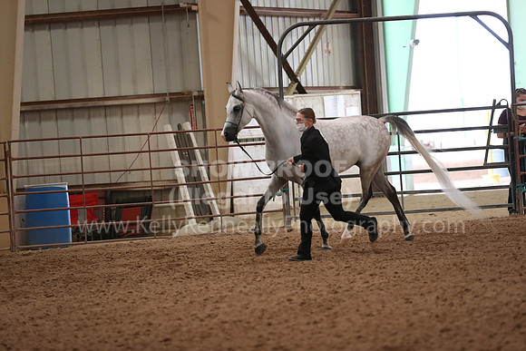 SilverBuckle20_FriAM_1921