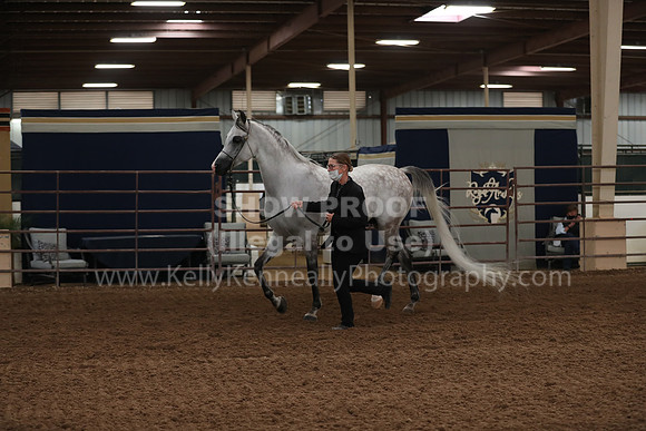 SilverBuckle20_FriAM_1923