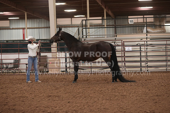 SilverBuckle20_FriAM_1841