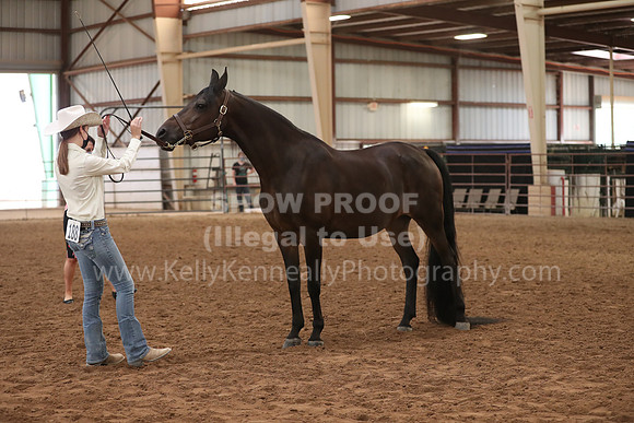 SilverBuckle20_FriAM_1842