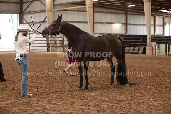 SilverBuckle20_FriAM_1843