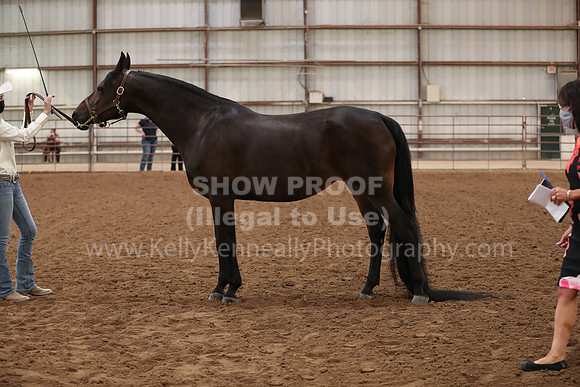 SilverBuckle20_FriAM_1845