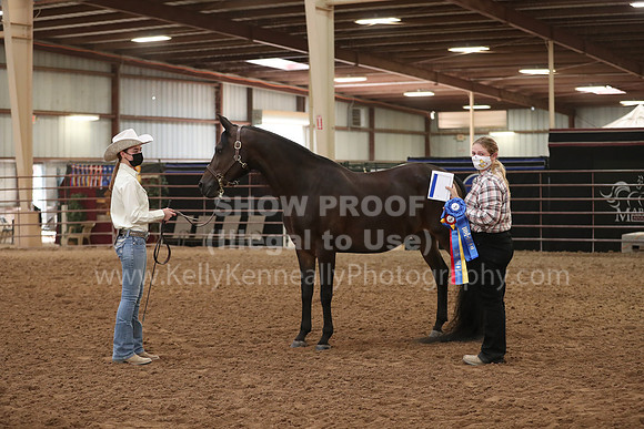 SilverBuckle20_FriAM_1850