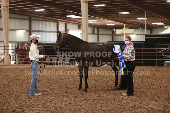SilverBuckle20_FriAM_1851