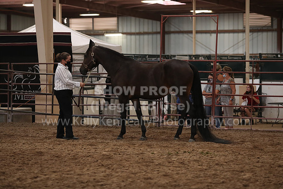 SilverBuckle20_FriAM_1936