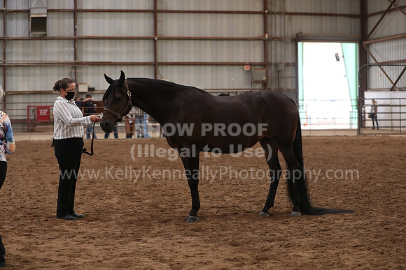 SilverBuckle20_FriAM_1939
