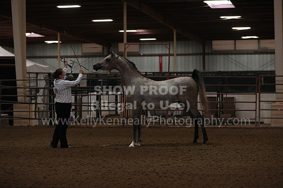 SilverBuckle20_FriAM_1727