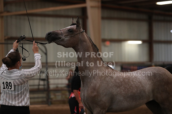SilverBuckle20_FriAM_1733