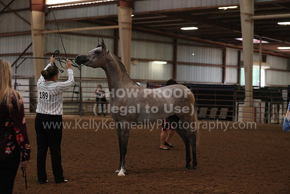 SilverBuckle20_FriAM_1734