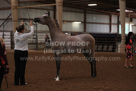 SilverBuckle20_FriAM_1735