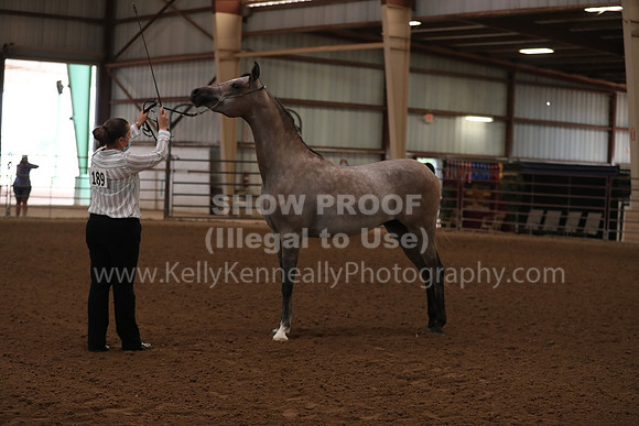 SilverBuckle20_FriAM_1736