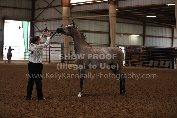 SilverBuckle20_FriAM_1737