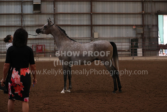 SilverBuckle20_FriAM_1738