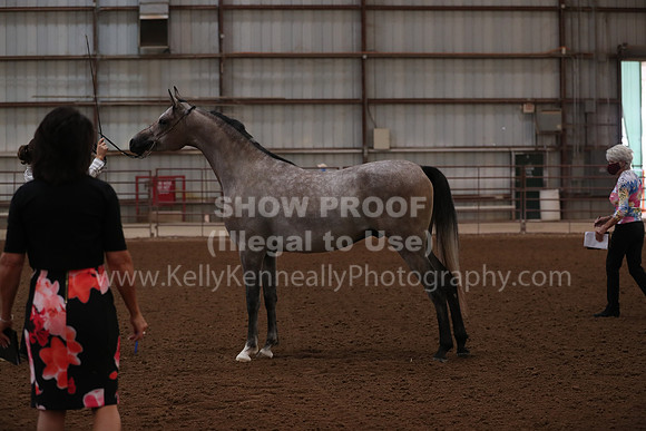 SilverBuckle20_FriAM_1739
