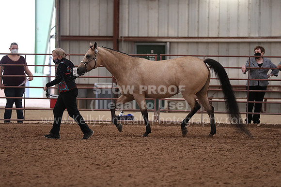 SilverBuckle20_FriAM_1951