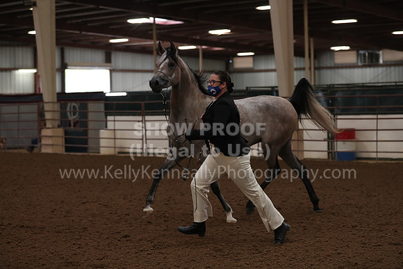 SilverBuckle20_FriAM_1747