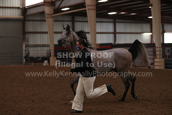 SilverBuckle20_FriAM_1748