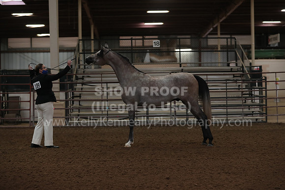 SilverBuckle20_FriAM_1750