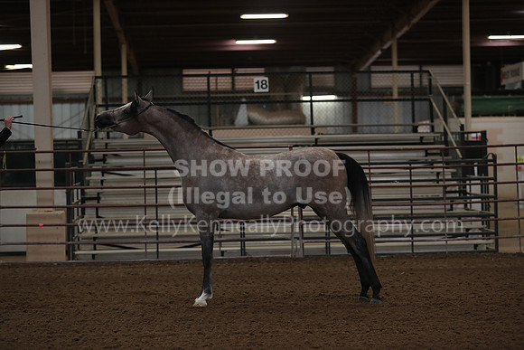 SilverBuckle20_FriAM_1751