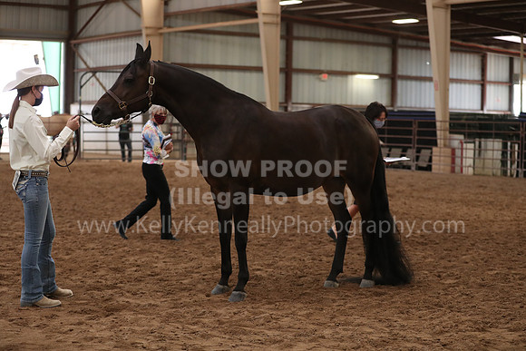 SilverBuckle20_FriAM_1958