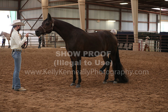 SilverBuckle20_FriAM_1959