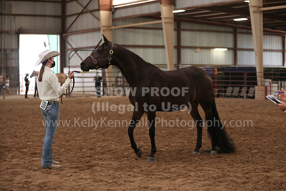 SilverBuckle20_FriAM_1961
