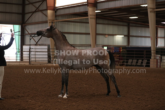SilverBuckle20_FriAM_1754