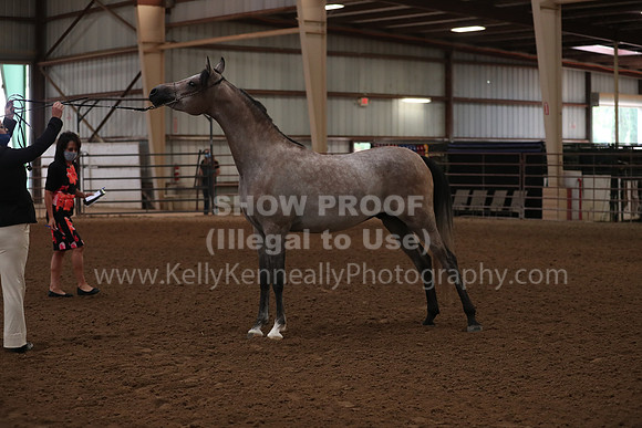 SilverBuckle20_FriAM_1755