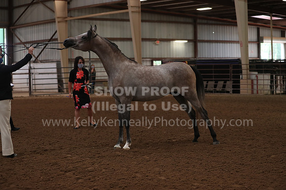 SilverBuckle20_FriAM_1756