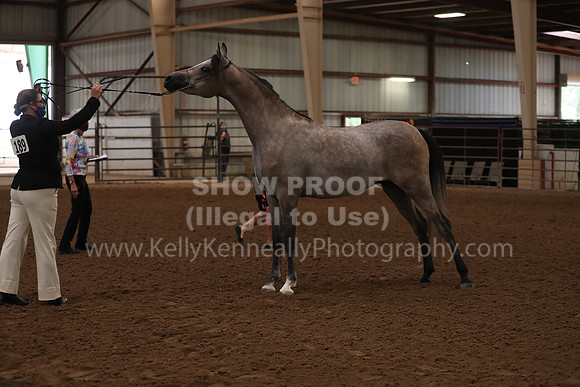 SilverBuckle20_FriAM_1757