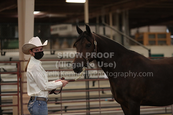 SilverBuckle20_FriAM_1964