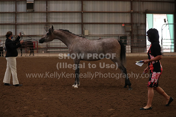SilverBuckle20_FriAM_1758