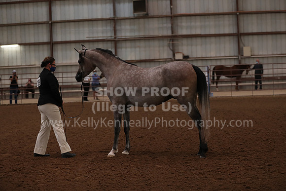 SilverBuckle20_FriAM_1760