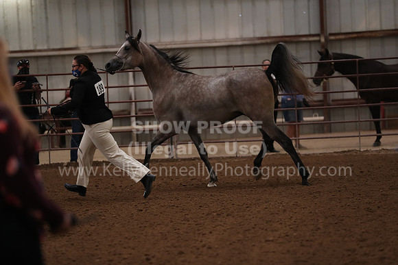 SilverBuckle20_FriAM_1761