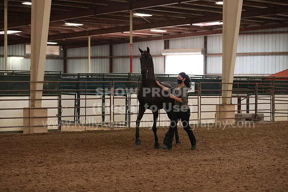 SilverBuckle20_FriAM_1968