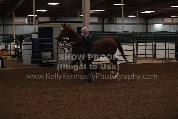 SilverBuckle20_FriAM_1780