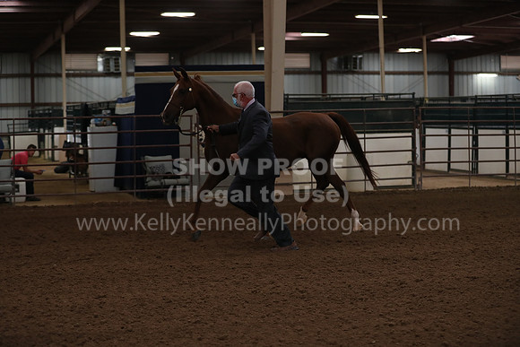 SilverBuckle20_FriAM_1781