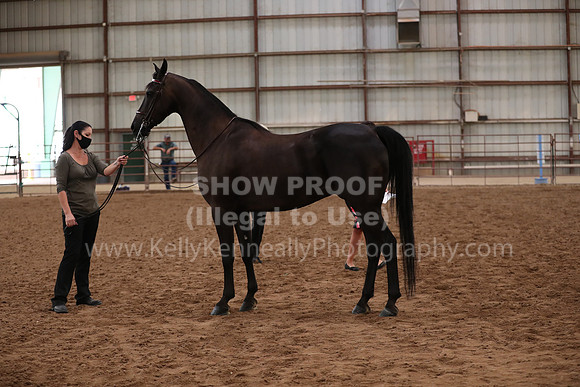 SilverBuckle20_FriAM_1974
