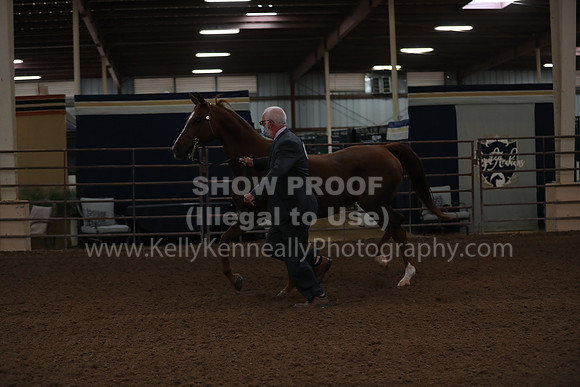SilverBuckle20_FriAM_1783