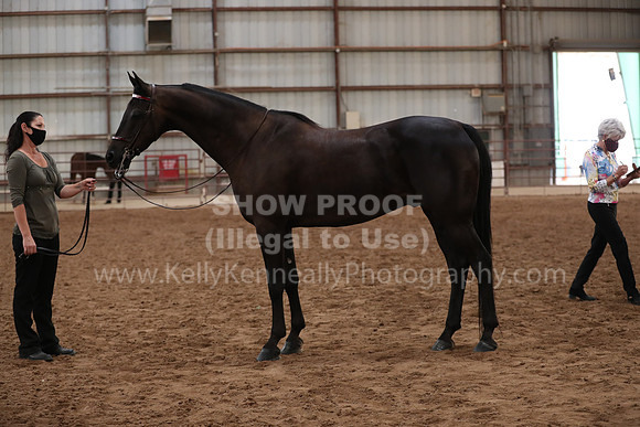 SilverBuckle20_FriAM_1975