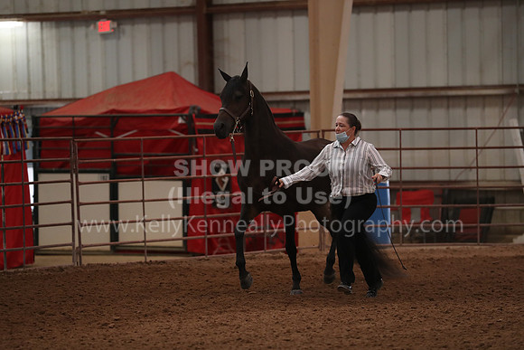SilverBuckle20_FriAM_1785